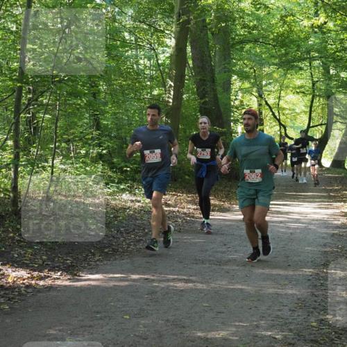 22.09.2024 - 32. Volkslauf durch das schöne Alstertal Miley Keyser http://msf.ph/oto/7136022 22.09.2024 10:43:15 Laufen 2059, 2293, 2062 meine-sportfotos.de