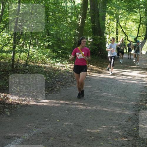 22.09.2024 - 32. Volkslauf durch das schöne Alstertal Miley Keyser http://msf.ph/oto/7136036 22.09.2024 10:43:07 Laufen 220, 2125 meine-sportfotos.de