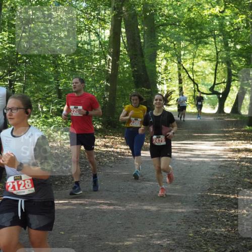 22.09.2024 - 32. Volkslauf durch das schöne Alstertal Miley Keyser http://msf.ph/oto/7136056 22.09.2024 10:42:46 Laufen 92, 2128, 2385, 2479 meine-sportfotos.de