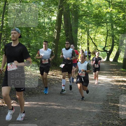 22.09.2024 - 32. Volkslauf durch das schöne Alstertal Miley Keyser http://msf.ph/oto/7136062 22.09.2024 10:42:44 Laufen 2540, 2129, 2128, 2479 meine-sportfotos.de