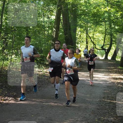 22.09.2024 - 32. Volkslauf durch das schöne Alstertal Miley Keyser http://msf.ph/oto/7136063 22.09.2024 10:42:45 Laufen 2129, 2128, 2479 meine-sportfotos.de