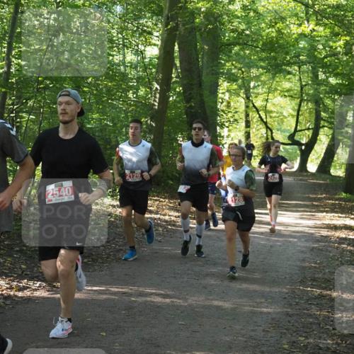 22.09.2024 - 32. Volkslauf durch das schöne Alstertal Miley Keyser http://msf.ph/oto/7136064 22.09.2024 10:42:44 Laufen 23, 2540, 2129, 2128, 2479 meine-sportfotos.de