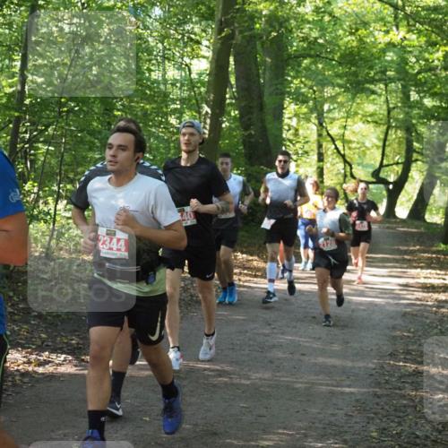 22.09.2024 - 32. Volkslauf durch das schöne Alstertal Miley Keyser http://msf.ph/oto/7136066 22.09.2024 10:42:44 Laufen 34, 2344, 40, 2128, 247 meine-sportfotos.de