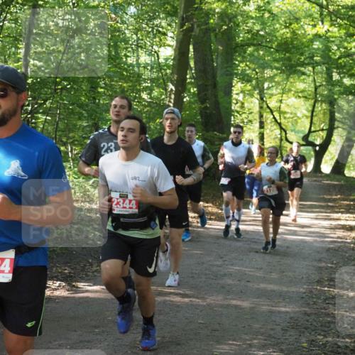 22.09.2024 - 32. Volkslauf durch das schöne Alstertal Miley Keyser http://msf.ph/oto/7136067 22.09.2024 10:42:43 Laufen 2384, 23, 2344, 2128 meine-sportfotos.de