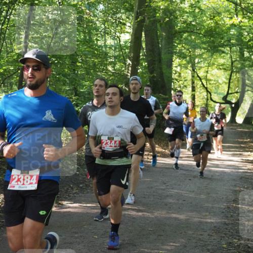 22.09.2024 - 32. Volkslauf durch das schöne Alstertal Miley Keyser http://msf.ph/oto/7136069 22.09.2024 10:42:43 Laufen 2384, 2344, 2128 meine-sportfotos.de