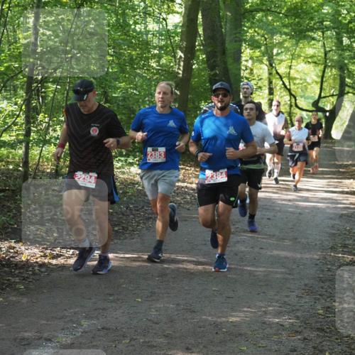 22.09.2024 - 32. Volkslauf durch das schöne Alstertal Miley Keyser http://msf.ph/oto/7136073 22.09.2024 10:42:42 Laufen 2294, 2383, 2384 meine-sportfotos.de