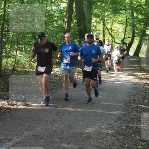 22.09.2024 - 32. Volkslauf durch das schöne Alstertal Miley Keyser http://msf.ph/oto/7136075 22.09.2024 10:42:41 Laufen 2294, 2383, 2384 meine-sportfotos.de