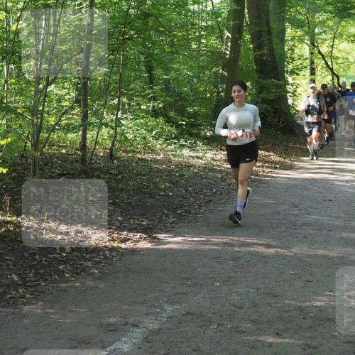 22.09.2024 - 32. Volkslauf durch das schöne Alstertal Miley Keyser http://msf.ph/oto/7136093 22.09.2024 10:42:36 Laufen  meine-sportfotos.de