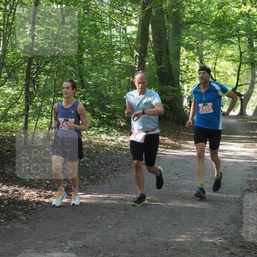22.09.2024 - 32. Volkslauf durch das schöne Alstertal Miley Keyser http://msf.ph/oto/7136101 22.09.2024 10:42:30 Laufen 243, 2455 meine-sportfotos.de