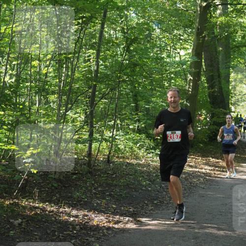 22.09.2024 - 32. Volkslauf durch das schöne Alstertal Miley Keyser http://msf.ph/oto/7136109 22.09.2024 10:42:28 Laufen 2167 meine-sportfotos.de