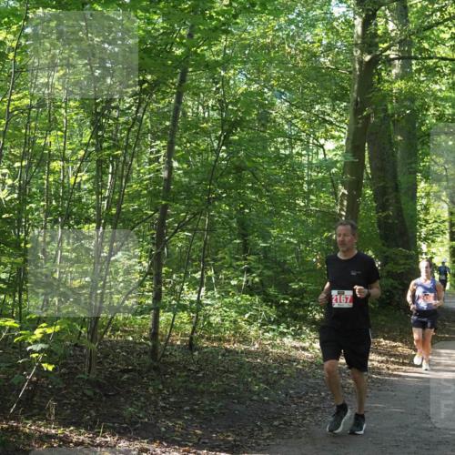 22.09.2024 - 32. Volkslauf durch das schöne Alstertal Miley Keyser http://msf.ph/oto/7136114 22.09.2024 10:42:28 Laufen 2167 meine-sportfotos.de