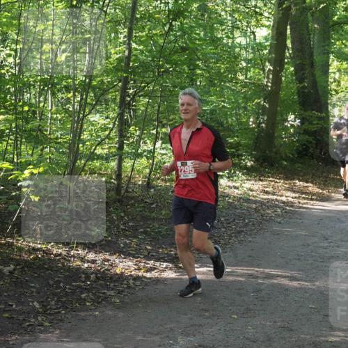 22.09.2024 - 32. Volkslauf durch das schöne Alstertal Miley Keyser http://msf.ph/oto/7136121 22.09.2024 10:42:25 Laufen 2295, 2167 meine-sportfotos.de