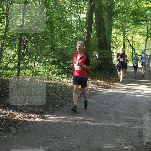 22.09.2024 - 32. Volkslauf durch das schöne Alstertal Miley Keyser http://msf.ph/oto/7136122 22.09.2024 10:42:24 Laufen 295, 2167 meine-sportfotos.de