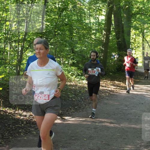 22.09.2024 - 32. Volkslauf durch das schöne Alstertal Miley Keyser http://msf.ph/oto/7136125 22.09.2024 10:42:22 Laufen 2264, 2572 meine-sportfotos.de
