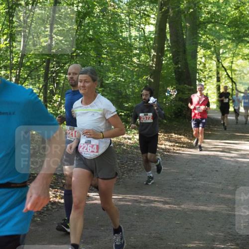 22.09.2024 - 32. Volkslauf durch das schöne Alstertal Miley Keyser http://msf.ph/oto/7136129 22.09.2024 10:42:22 Laufen 221, 2264, 2572 meine-sportfotos.de