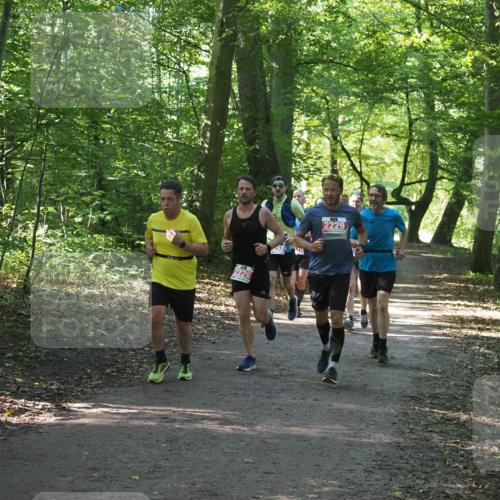 22.09.2024 - 32. Volkslauf durch das schöne Alstertal Miley Keyser http://msf.ph/oto/7136136 22.09.2024 10:42:19 Laufen 2441, 2228, 2229 meine-sportfotos.de