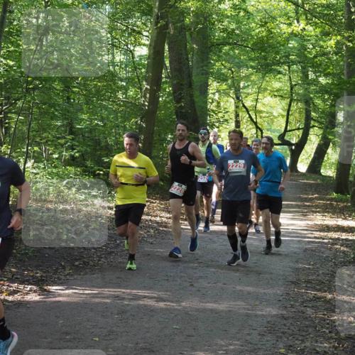 22.09.2024 - 32. Volkslauf durch das schöne Alstertal Miley Keyser http://msf.ph/oto/7136139 22.09.2024 10:42:19 Laufen 2441, 2229 meine-sportfotos.de