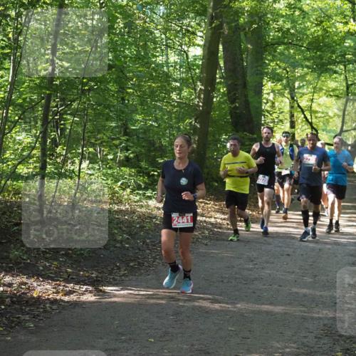 22.09.2024 - 32. Volkslauf durch das schöne Alstertal Miley Keyser http://msf.ph/oto/7136140 22.09.2024 10:42:18 Laufen 2441, 2228 meine-sportfotos.de