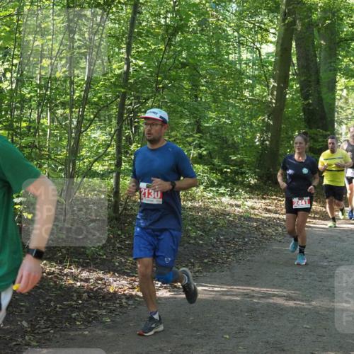22.09.2024 - 32. Volkslauf durch das schöne Alstertal Miley Keyser http://msf.ph/oto/7136141 22.09.2024 10:42:17 Laufen 272, 2130, 2441, 2229 meine-sportfotos.de
