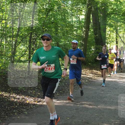 22.09.2024 - 32. Volkslauf durch das schöne Alstertal Miley Keyser http://msf.ph/oto/7136145 22.09.2024 10:42:16 Laufen 272, 2130, 2441 meine-sportfotos.de