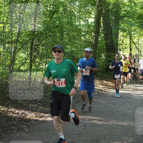 22.09.2024 - 32. Volkslauf durch das schöne Alstertal Miley Keyser http://msf.ph/oto/7136146 22.09.2024 10:42:16 Laufen 2272, 2130, 2441 meine-sportfotos.de