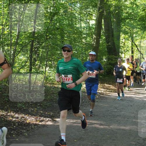 22.09.2024 - 32. Volkslauf durch das schöne Alstertal Miley Keyser http://msf.ph/oto/7136147 22.09.2024 10:42:16 Laufen 2444, 2272, 2130, 2441 meine-sportfotos.de