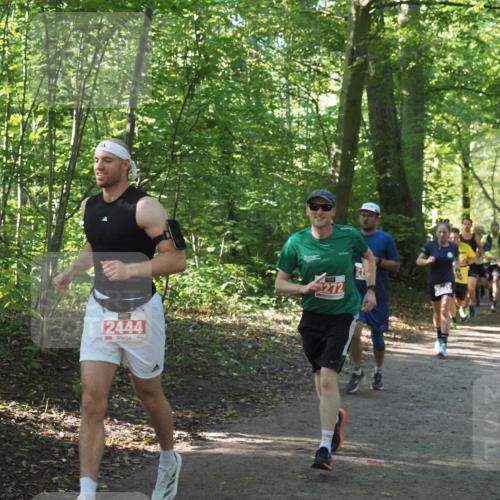 22.09.2024 - 32. Volkslauf durch das schöne Alstertal Miley Keyser http://msf.ph/oto/7136148 22.09.2024 10:42:16 Laufen 2444, 272 meine-sportfotos.de