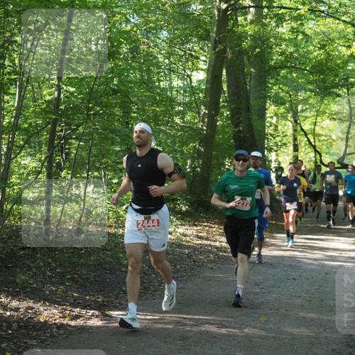 22.09.2024 - 32. Volkslauf durch das schöne Alstertal Miley Keyser http://msf.ph/oto/7136149 22.09.2024 10:42:15 Laufen 2444, 2272 meine-sportfotos.de