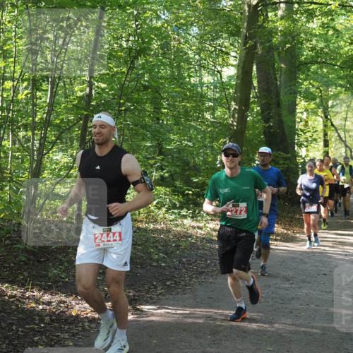 22.09.2024 - 32. Volkslauf durch das schöne Alstertal Miley Keyser http://msf.ph/oto/7136150 22.09.2024 10:42:15 Laufen 2444, 2272 meine-sportfotos.de