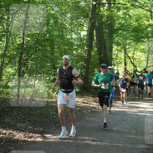 22.09.2024 - 32. Volkslauf durch das schöne Alstertal Miley Keyser http://msf.ph/oto/7136152 22.09.2024 10:42:15 Laufen 2444 meine-sportfotos.de