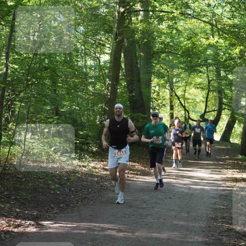 22.09.2024 - 32. Volkslauf durch das schöne Alstertal Miley Keyser http://msf.ph/oto/7136153 22.09.2024 10:42:14 Laufen 2444 meine-sportfotos.de