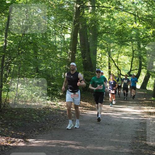 22.09.2024 - 32. Volkslauf durch das schöne Alstertal Miley Keyser http://msf.ph/oto/7136154 22.09.2024 10:42:14 Laufen 2444 meine-sportfotos.de