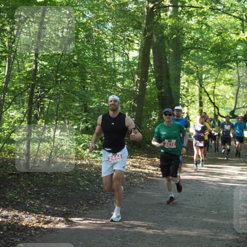 22.09.2024 - 32. Volkslauf durch das schöne Alstertal Miley Keyser http://msf.ph/oto/7136155 22.09.2024 10:42:15 Laufen 2444, 2272 meine-sportfotos.de