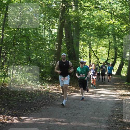22.09.2024 - 32. Volkslauf durch das schöne Alstertal Miley Keyser http://msf.ph/oto/7136156 22.09.2024 10:42:14 Laufen 2444 meine-sportfotos.de