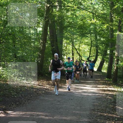 22.09.2024 - 32. Volkslauf durch das schöne Alstertal Miley Keyser http://msf.ph/oto/7136157 22.09.2024 10:42:13 Laufen 2444, 2272, 2441 meine-sportfotos.de