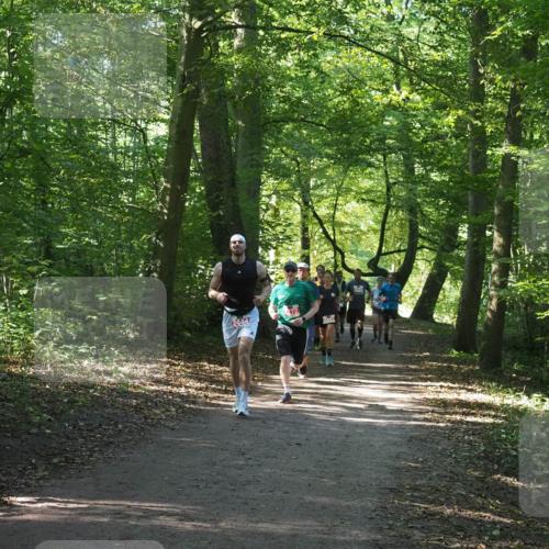 22.09.2024 - 32. Volkslauf durch das schöne Alstertal Miley Keyser http://msf.ph/oto/7136160 22.09.2024 10:42:13 Laufen 2444 meine-sportfotos.de