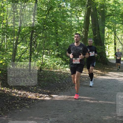 22.09.2024 - 32. Volkslauf durch das schöne Alstertal Miley Keyser http://msf.ph/oto/7136174 22.09.2024 10:42:00 Laufen 2365, 2945 meine-sportfotos.de
