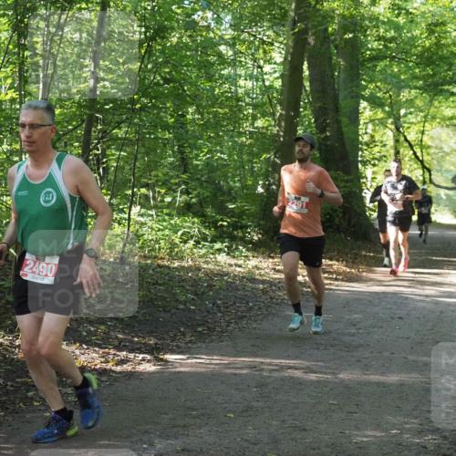 22.09.2024 - 32. Volkslauf durch das schöne Alstertal Miley Keyser http://msf.ph/oto/7136185 22.09.2024 10:41:57 Laufen 2490, 2291 meine-sportfotos.de