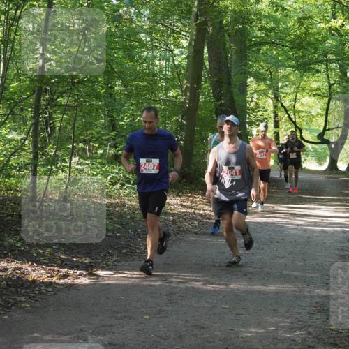 22.09.2024 - 32. Volkslauf durch das schöne Alstertal Miley Keyser http://msf.ph/oto/7136193 22.09.2024 10:41:55 Laufen 2407, 2041, 491 meine-sportfotos.de