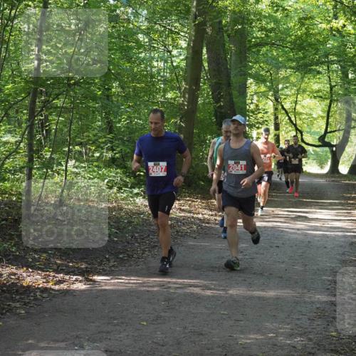 22.09.2024 - 32. Volkslauf durch das schöne Alstertal Miley Keyser http://msf.ph/oto/7136194 22.09.2024 10:41:55 Laufen 2407, 2041, 291 meine-sportfotos.de