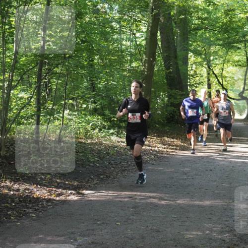 22.09.2024 - 32. Volkslauf durch das schöne Alstertal Miley Keyser http://msf.ph/oto/7136197 22.09.2024 10:41:53 Laufen 2535, 2407, 2041 meine-sportfotos.de