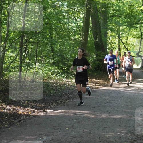 22.09.2024 - 32. Volkslauf durch das schöne Alstertal Miley Keyser http://msf.ph/oto/7136200 22.09.2024 10:41:53 Laufen 2535 meine-sportfotos.de