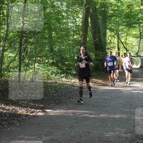 22.09.2024 - 32. Volkslauf durch das schöne Alstertal Miley Keyser http://msf.ph/oto/7136204 22.09.2024 10:41:52 Laufen 2535, 2407 meine-sportfotos.de