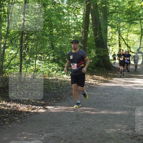 22.09.2024 - 32. Volkslauf durch das schöne Alstertal Miley Keyser http://msf.ph/oto/7136205 22.09.2024 10:41:49 Laufen 2418 meine-sportfotos.de