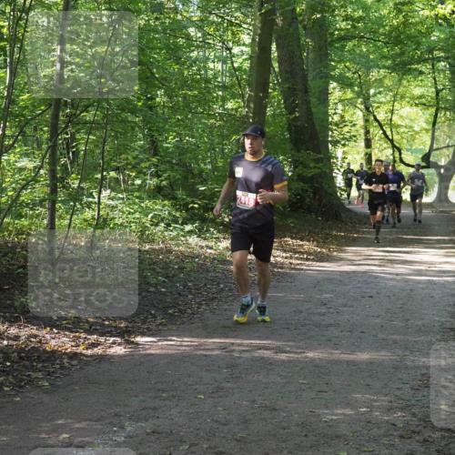22.09.2024 - 32. Volkslauf durch das schöne Alstertal Miley Keyser http://msf.ph/oto/7136206 22.09.2024 10:41:49 Laufen 2418 meine-sportfotos.de