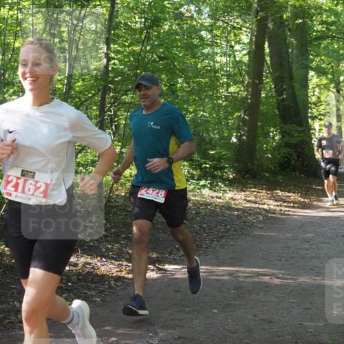 22.09.2024 - 32. Volkslauf durch das schöne Alstertal Miley Keyser http://msf.ph/oto/7136209 22.09.2024 10:41:46 Laufen 2162, 2428 meine-sportfotos.de