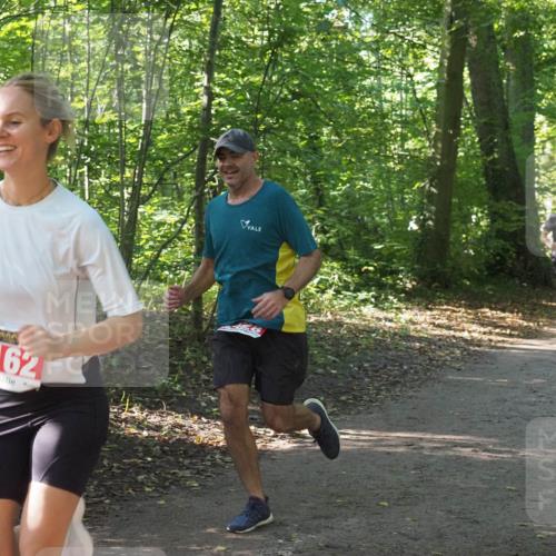 22.09.2024 - 32. Volkslauf durch das schöne Alstertal Miley Keyser http://msf.ph/oto/7136212 22.09.2024 10:41:46 Laufen 2162 meine-sportfotos.de