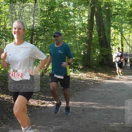 22.09.2024 - 32. Volkslauf durch das schöne Alstertal Miley Keyser http://msf.ph/oto/7136214 22.09.2024 10:41:46 Laufen 63, 4, 2162 meine-sportfotos.de