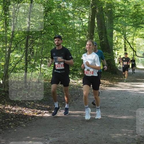 22.09.2024 - 32. Volkslauf durch das schöne Alstertal Miley Keyser http://msf.ph/oto/7136215 22.09.2024 10:41:45 Laufen 2163, 2162 meine-sportfotos.de
