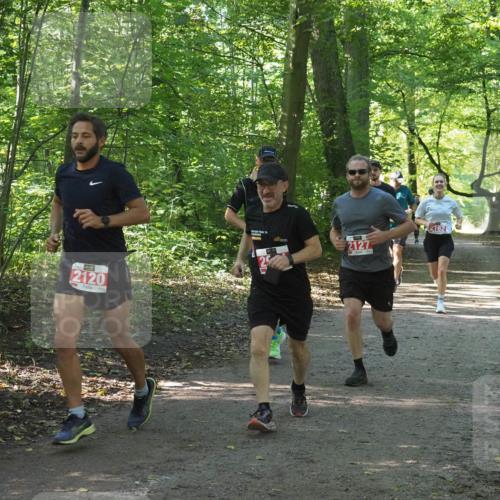 22.09.2024 - 32. Volkslauf durch das schöne Alstertal Miley Keyser http://msf.ph/oto/7136224 22.09.2024 10:41:43 Laufen 2120, 2127 meine-sportfotos.de